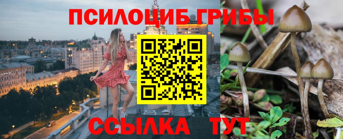Псилоцибиновые грибы GOLDEN TEACHER Тихвин
