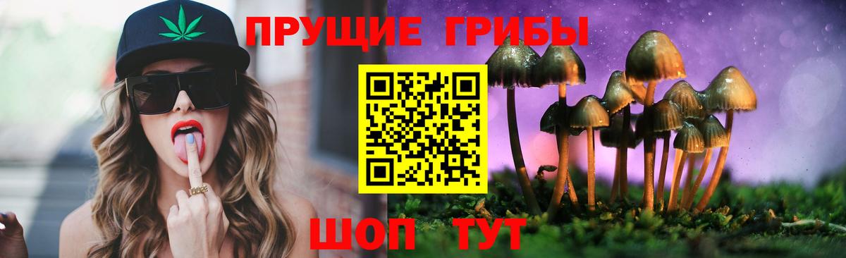Тихвин  Галлюциногенные грибы Psilocybine cubensis  Галлюциногенные грибы прущие грибы  Вход с VPN 