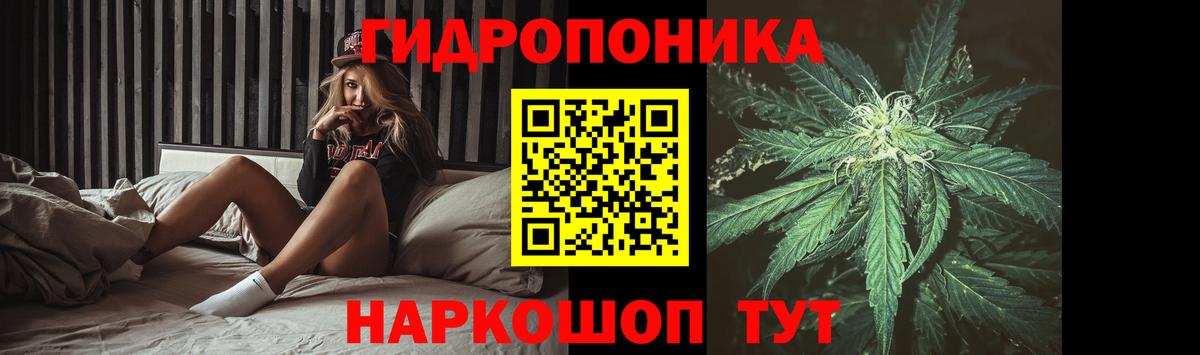 Бошки Шишки OG Kush Тихвин